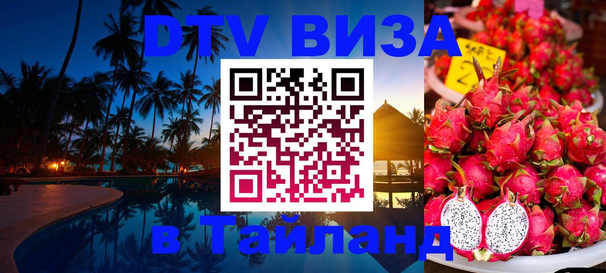 Оформление DTV визы под ключ: стоимость и тарифы, только загранпаспорт - 